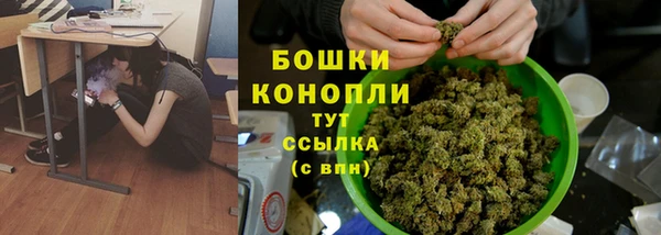 стаф Елизово