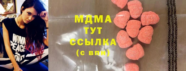 гидра Елабуга