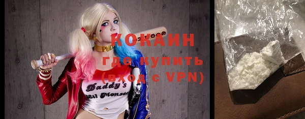 гидра Елабуга