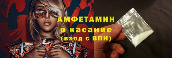 гидра Елабуга