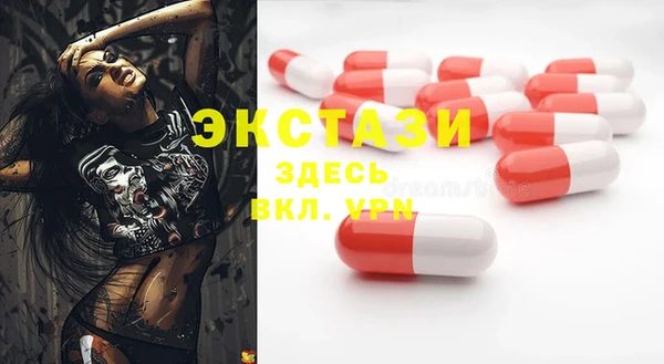 гидра Елабуга
