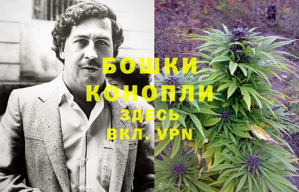 гидра Елабуга