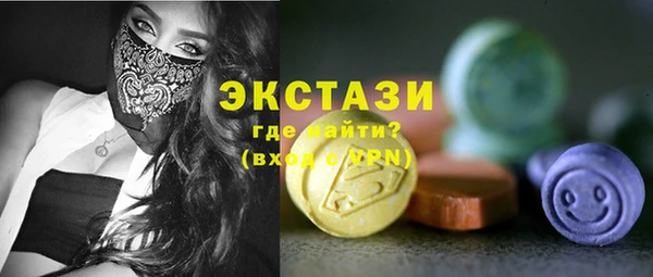 гидра Елабуга