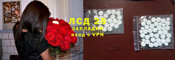 стаф Елизово