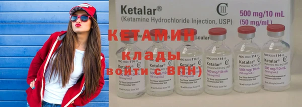 гидра Елабуга