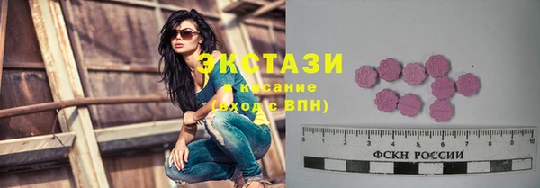 гидра Елабуга