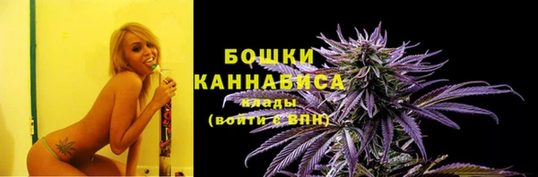 стаф Елизово