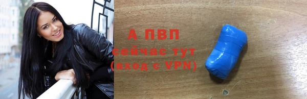 гидра Елабуга