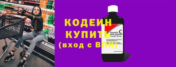 стаф Елизово
