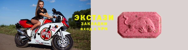 гидра Елабуга