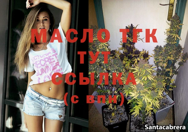 гидра Елабуга