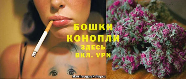 гидра Елабуга