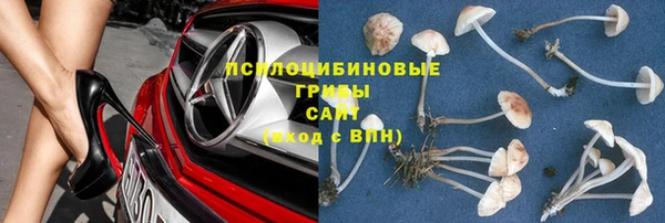 каннабис Ельня