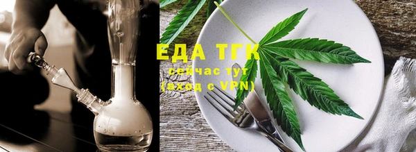 гидра Елабуга