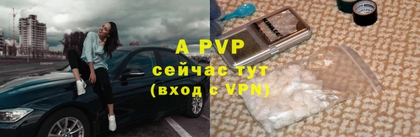 стаф Елизово