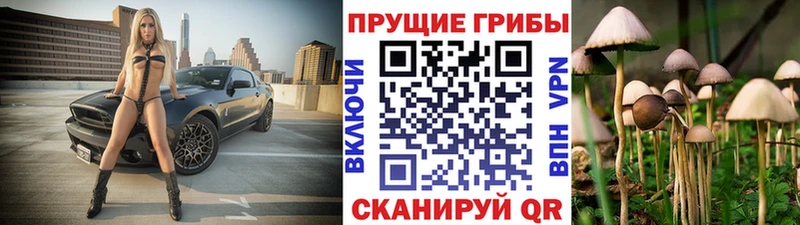 наркотики  Оренбург  Галлюциногенные грибы мухоморы 